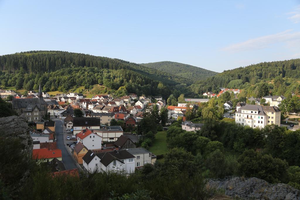 Taunusblick-Meissner Schmitten Cameră foto