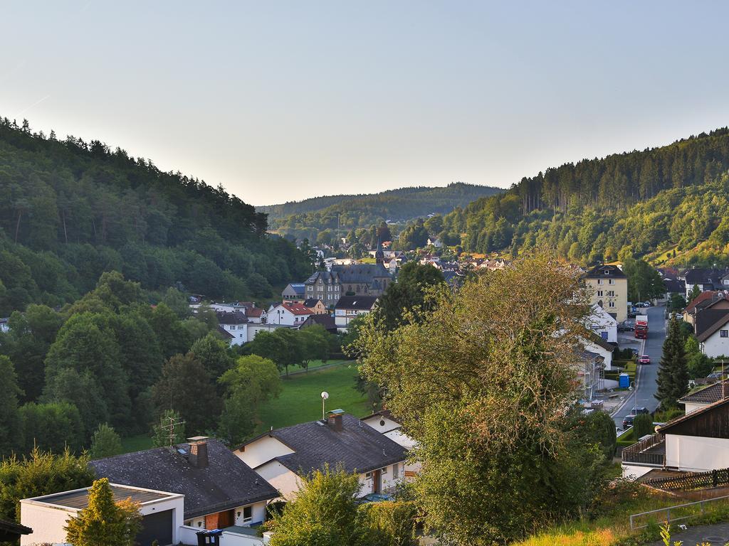 Taunusblick-Meissner Schmitten Cameră foto